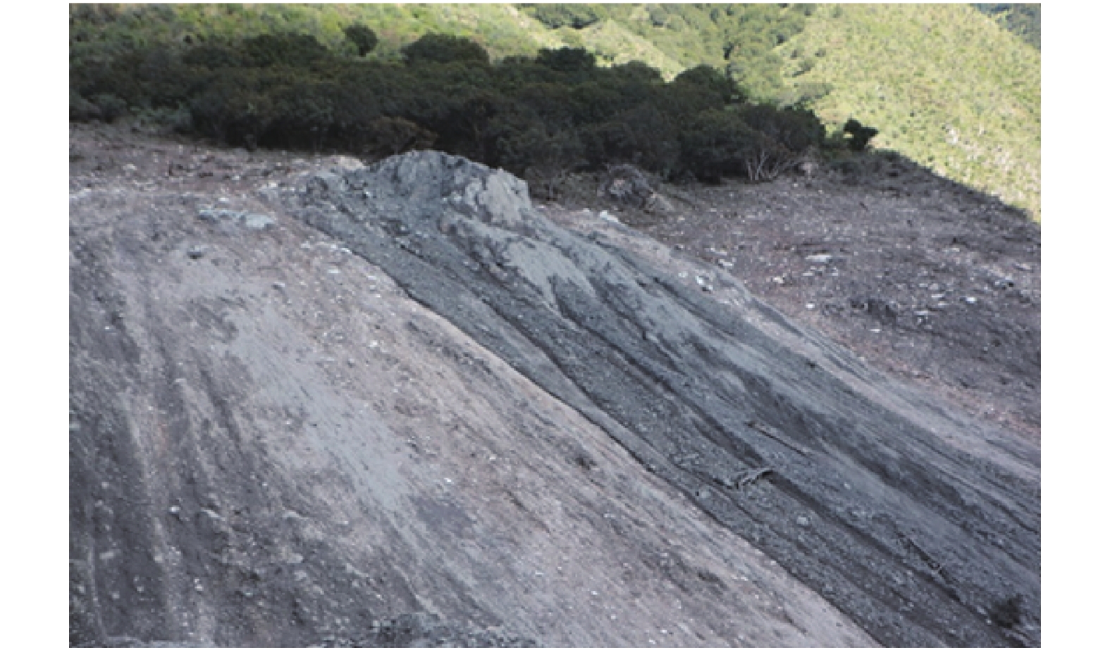 四川岸(左岸)总体上为坡积层和残留阶地岸坡,表面生长着柏树,灌木与