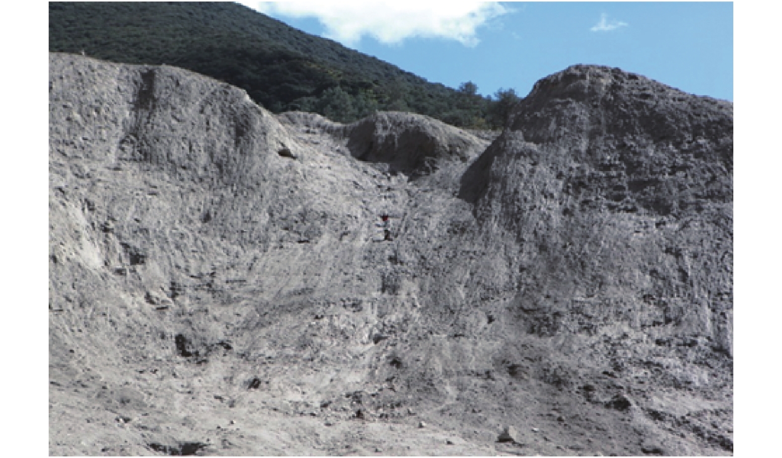 四川岸(左岸)总体上为坡积层和残留阶地岸坡,表面生长着柏树,灌木与